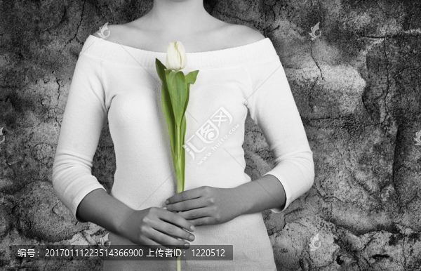 郁金香的女人-匯圖網(wǎng) www.fosd68.com 郁金香的女人