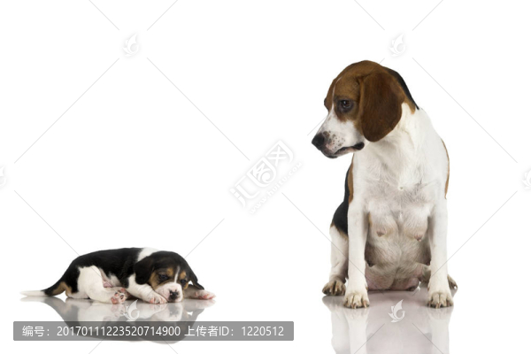 小媽媽