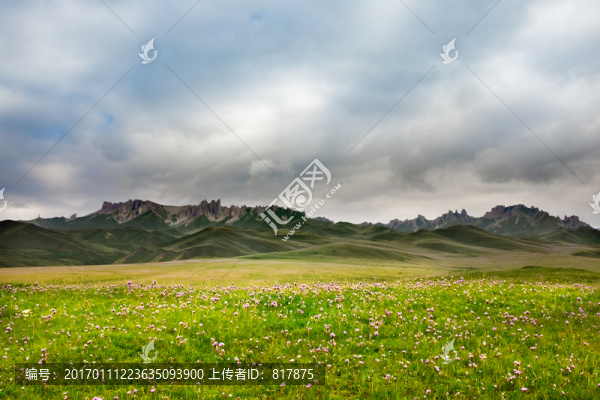 天山石林