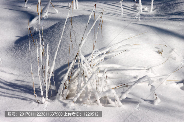 雪景觀