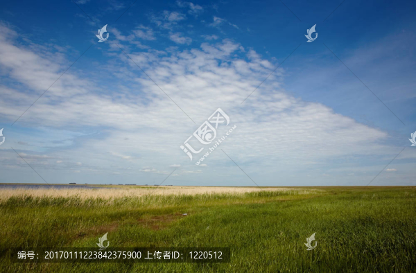 夏天的風(fēng)景。