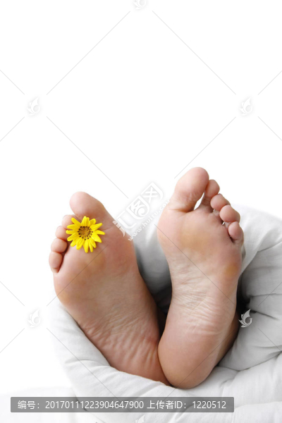 床腳
