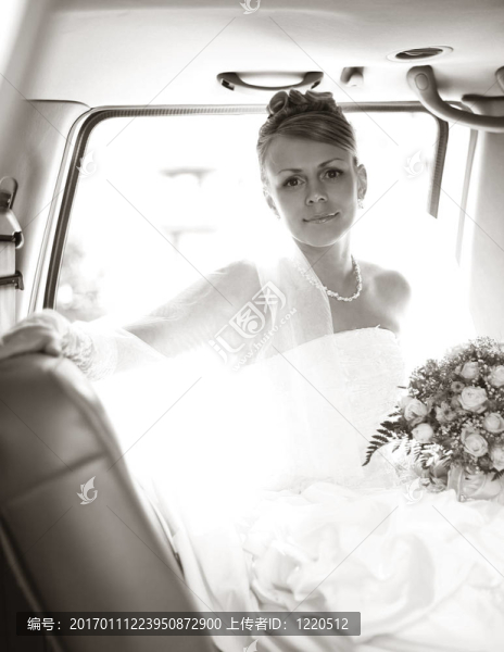 美麗的新娘-匯圖網(wǎng) www.fosd68.com 美麗的新娘