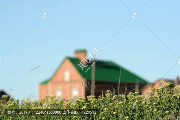 鄉(xiāng)村景觀。