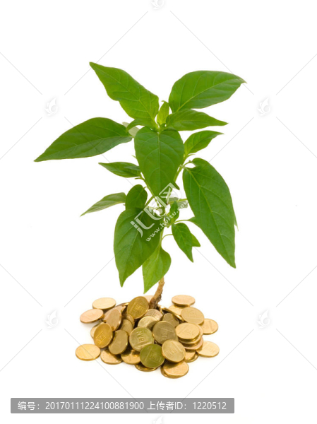 概念利潤