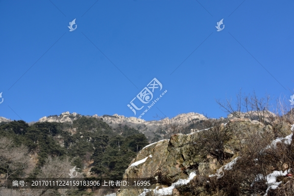 泰山