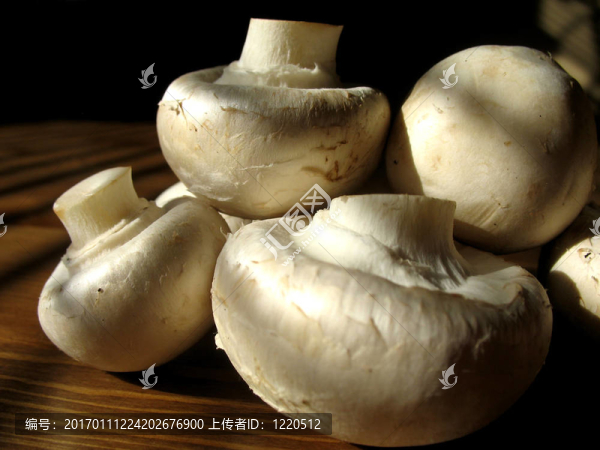 香菇3