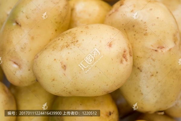 新鮮的土豆-匯圖網(wǎng) www.fosd68.com 新鮮的土豆