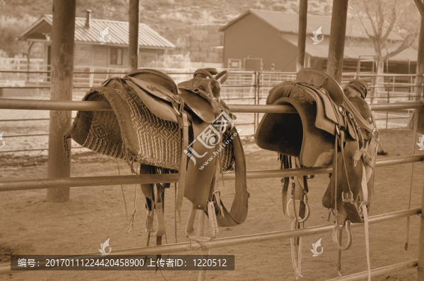 狂野的西部