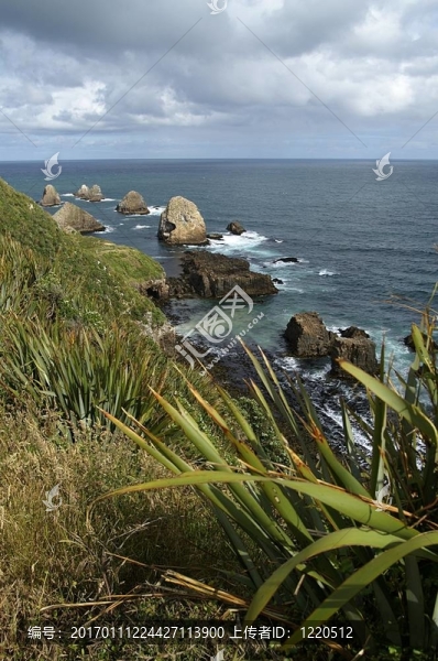 狂野海岸線(xiàn)