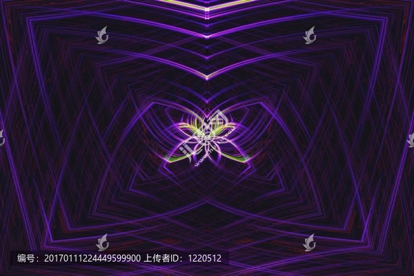霓虹燈的蜘蛛