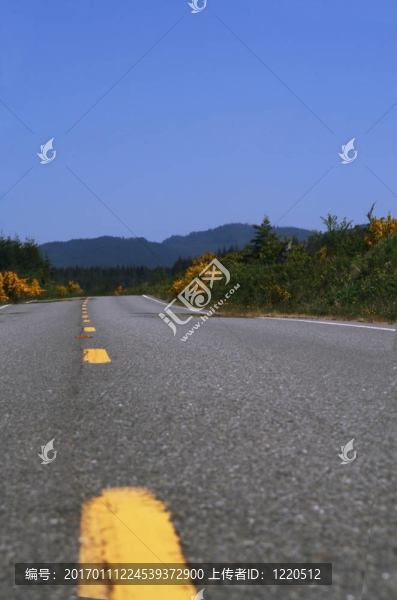 道路與天空