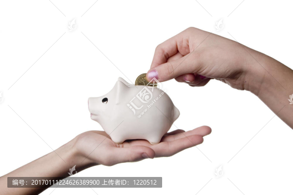 手和小豬盒