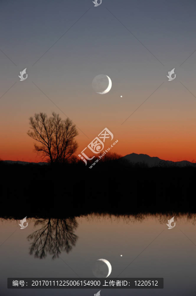 Winter,Moon與孤獨(dú)的樹