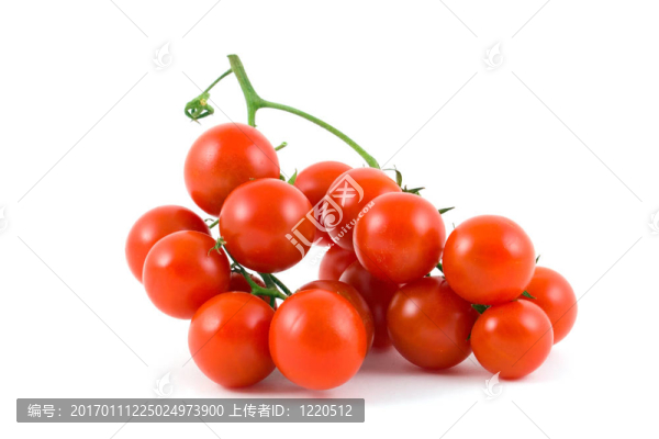 西紅柿