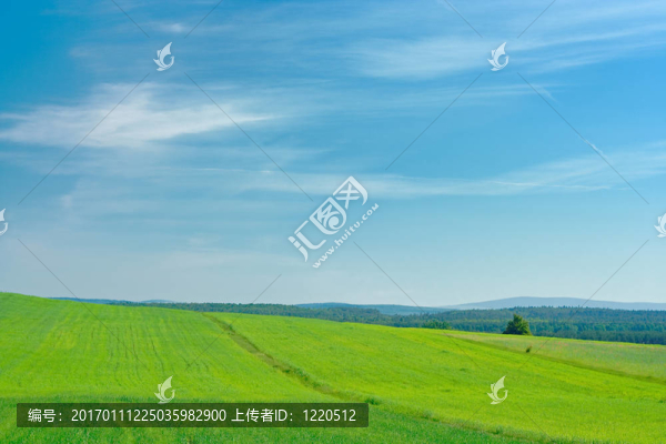景觀