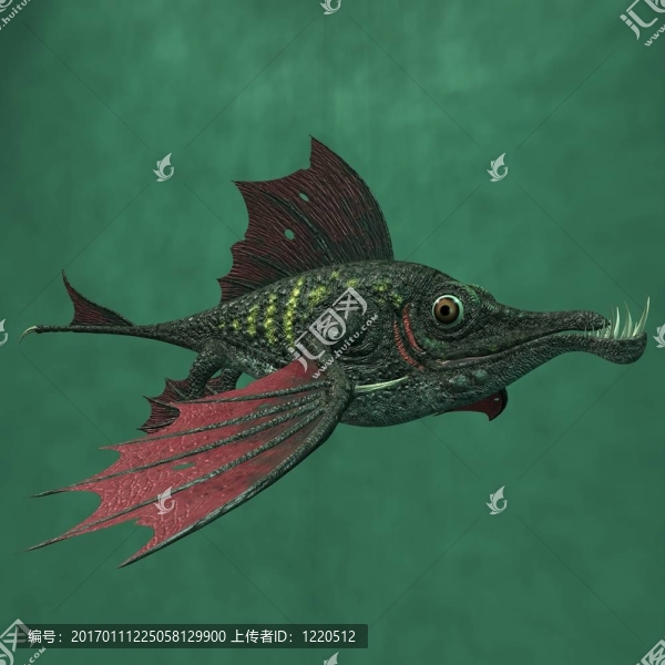 奇幻龍魚