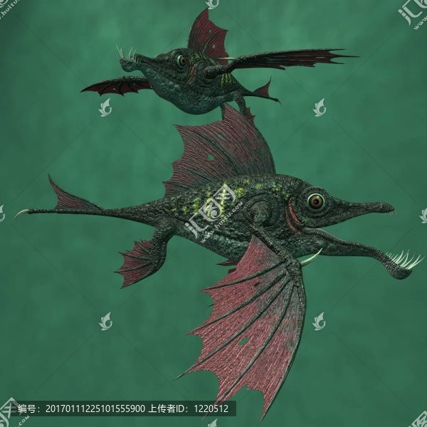 奇幻龍魚
