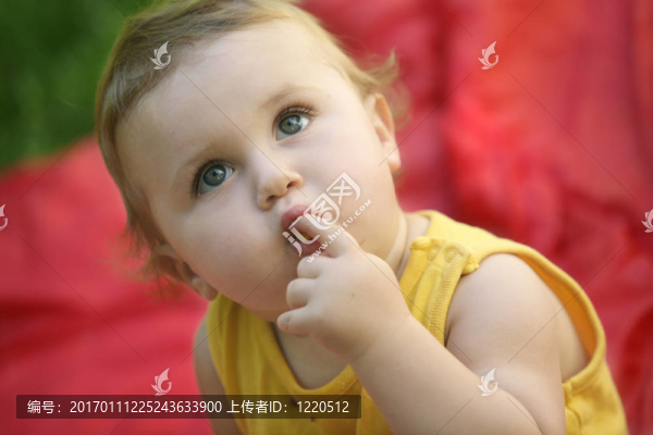 好奇寶寶