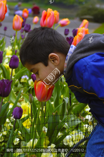 聞花