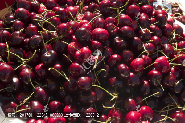 紅櫻桃特寫