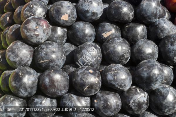 梅子-匯圖網(wǎng) www.fosd68.com 梅子