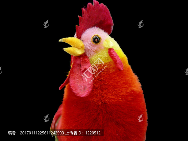 玩具雞