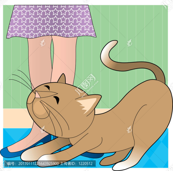 Cat,Stretchig的鞋子
