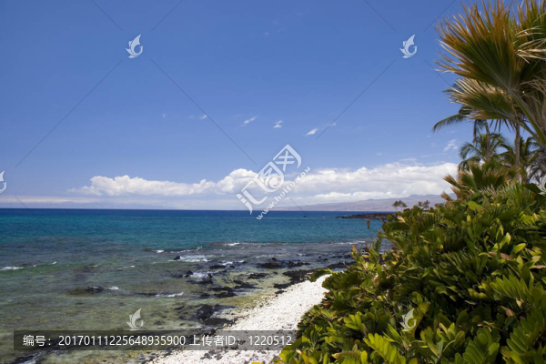 夏威夷科納海灘