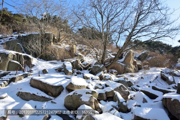 五岳泰山風(fēng)光
