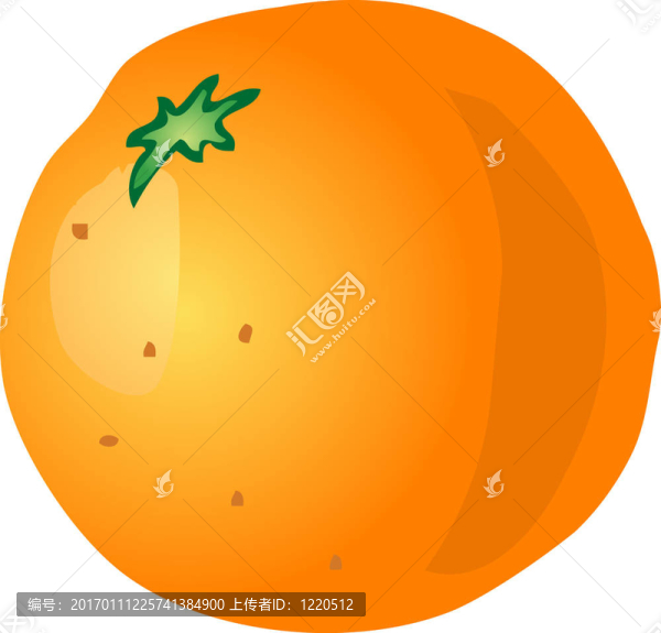 橙色的素描