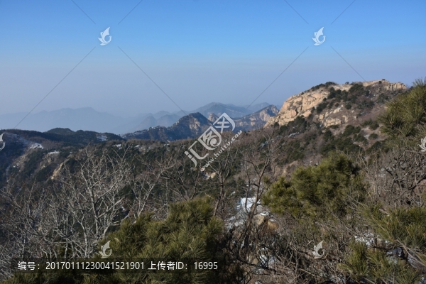 泰山