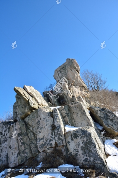 泰山