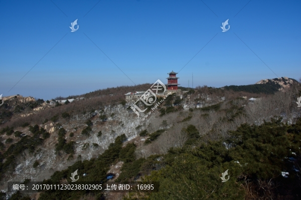 泰山