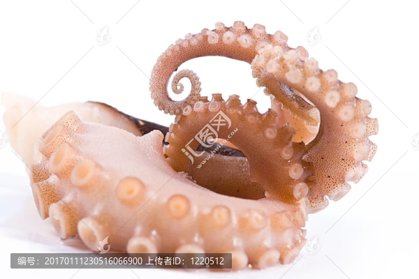 章魚海鮮熟食店