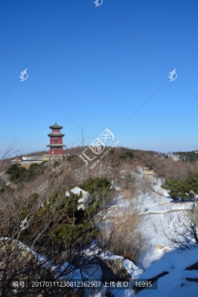 泰山