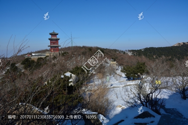泰山