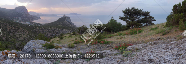 海岸景觀