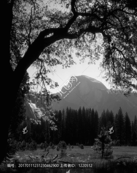 mn0589halfdomebranch