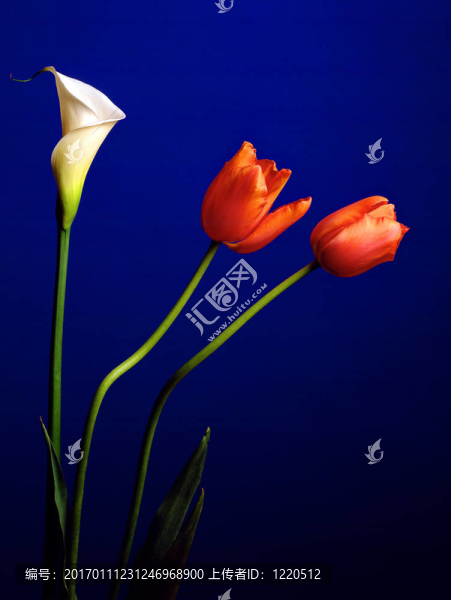 三重奏
