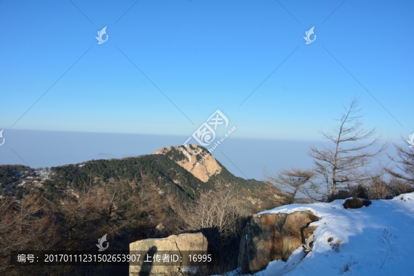 泰山雪景風光