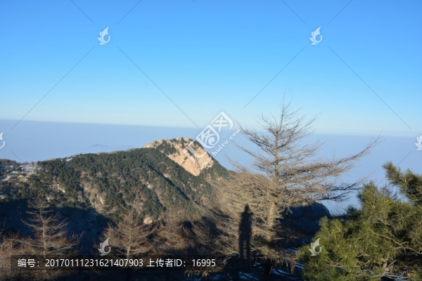 泰山雪景風光