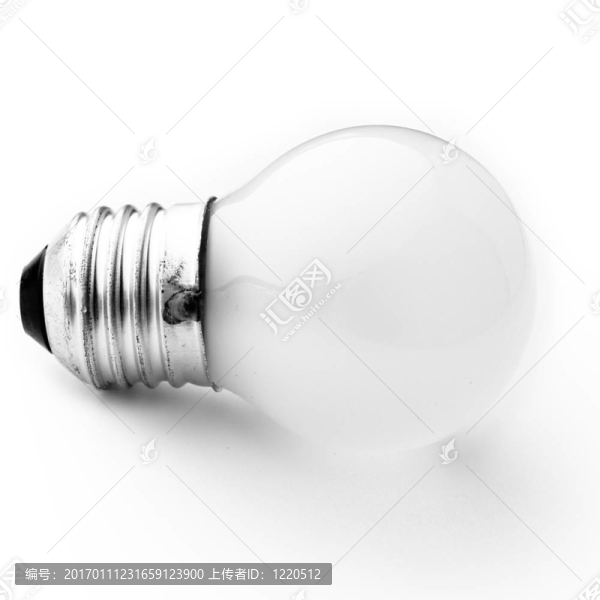 電燈泡