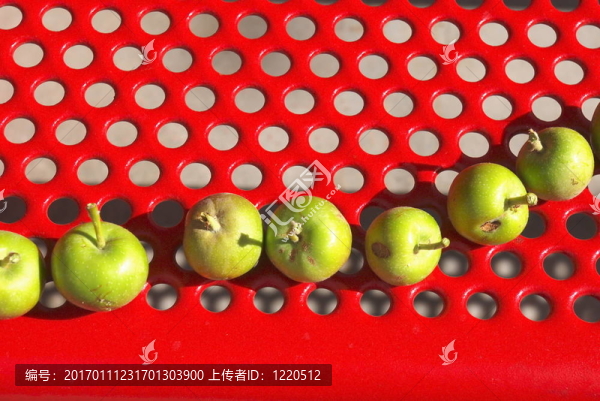 公園椅蘋果