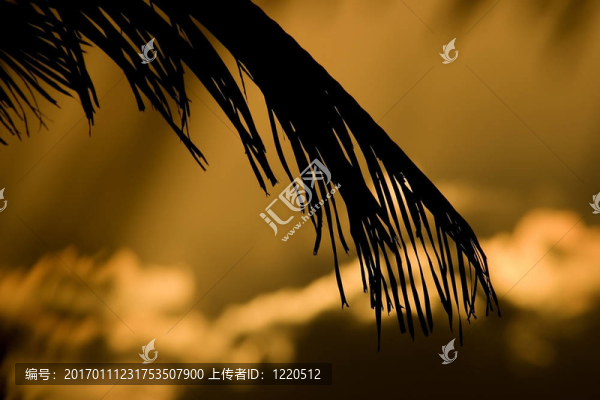 傍晚的天空