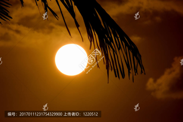 日落在巴巴多斯