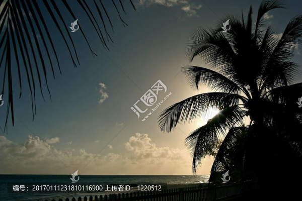 aimg_9764