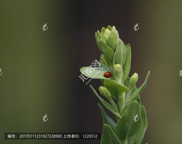 休息