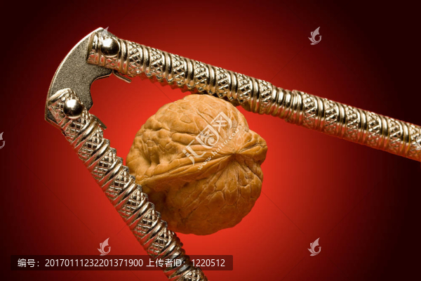 堅(jiān)果，胡桃?jiàn)A子