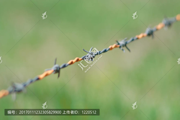 鐵絲網(wǎng)